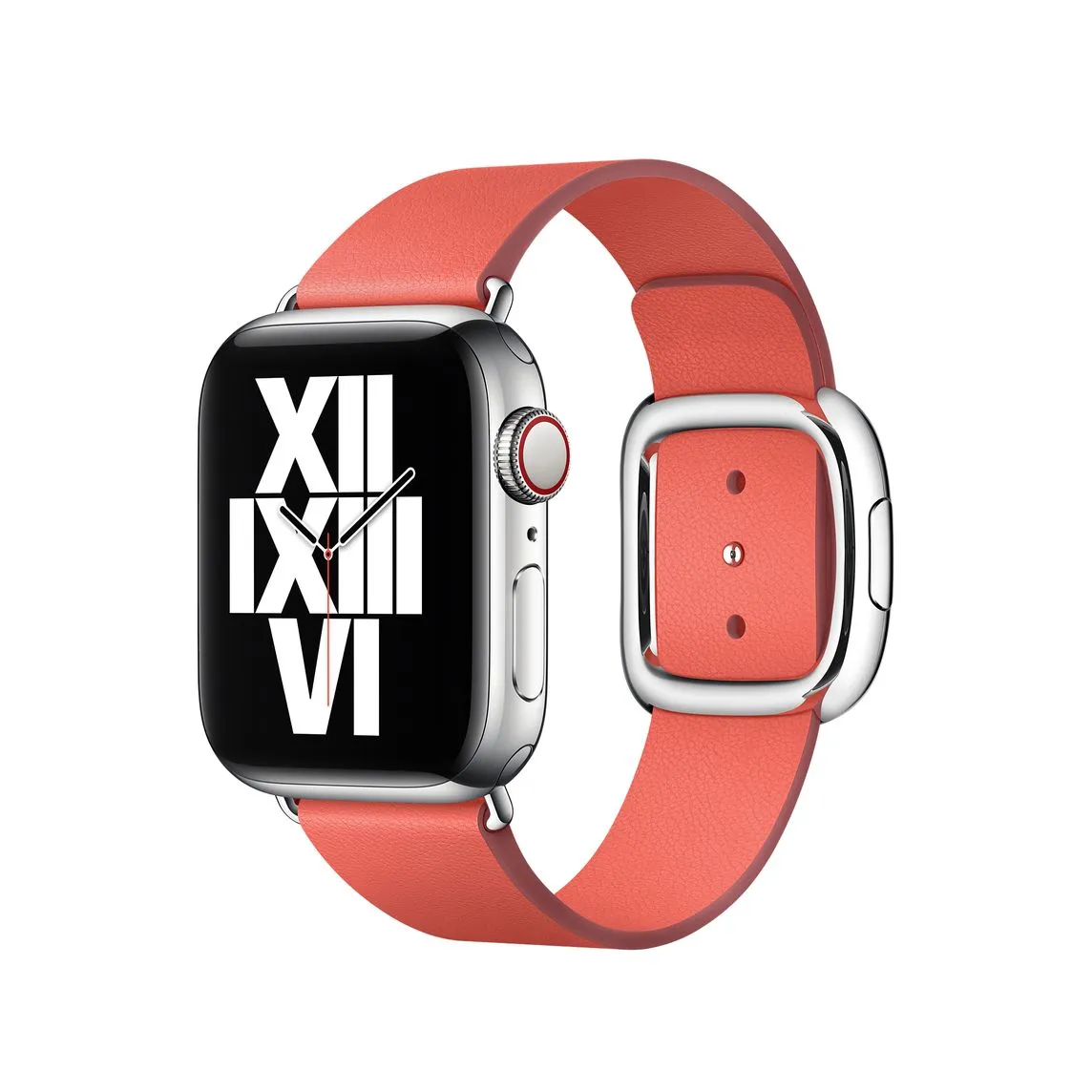38mm Modern Buckle