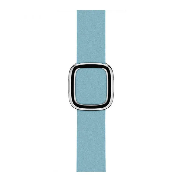 38mm Modern Buckle