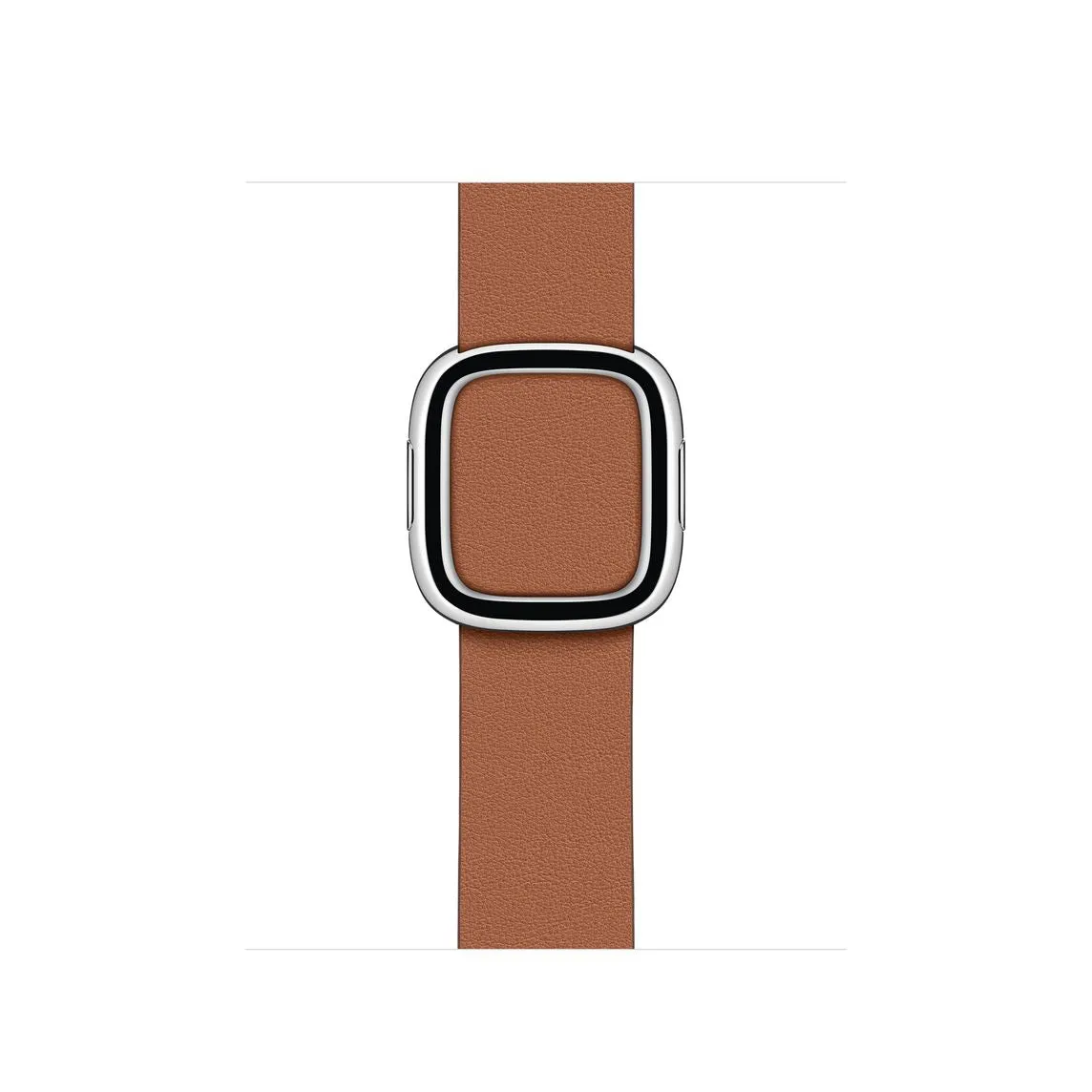 38mm Modern Buckle