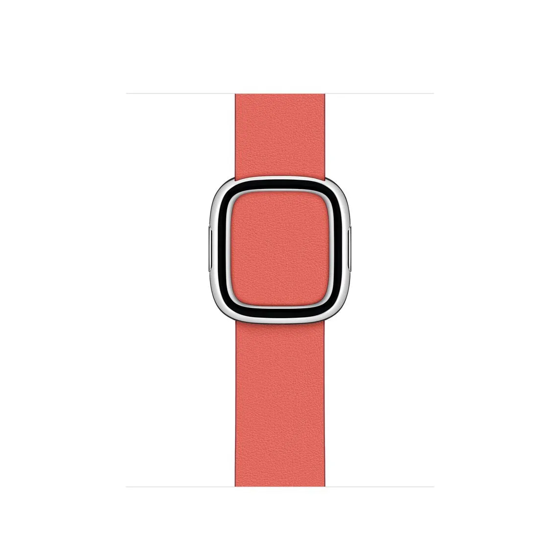 38mm Modern Buckle