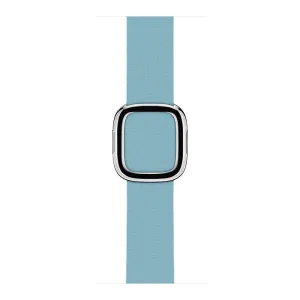 38mm Modern Buckle